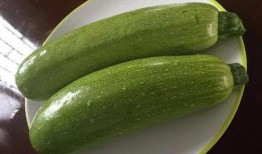 普瓜怎么吃,解锁美味新境界