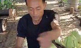 粉碎哥吃瓜,揭秘娱乐圈幕后真相