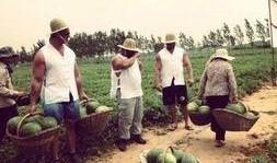 吃瓜绿洲世界,揭秘神秘世界的奇幻之旅