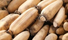 吃瓜群众吃藕完整版,一场网络热词的狂欢盛宴