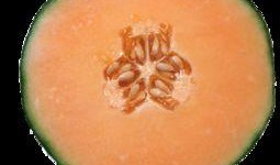 吃哈密瓜自拍说说,我的自拍故事