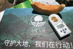 吃瓜绿洲世界,揭秘神秘世界的奇幻之旅