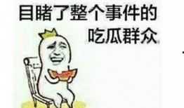 在家当吃瓜群众