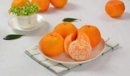 梨瓜咋吃啊,梨瓜的多样食用方法探索