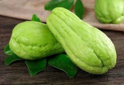 佛手瓜做法吃六,解锁健康养生新食尚