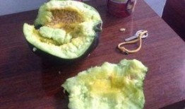 有的瓜吃皮有的瓜吃瓤,吃皮还是吃瓤