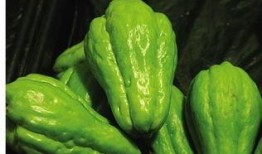 偷佛手瓜吃,偷佛手瓜的美食冒险记