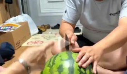 韩国最新吃瓜事件,最新“瓜王”事件揭秘