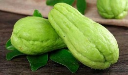 佛手瓜不能和谁吃,揭秘不能同食的禁忌食材