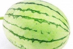 梦见在野外的瓜里吃瓜,野外瓜果盛宴，揭秘梦境中的瓜里吃瓜之谜