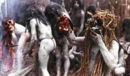 恐怖直立猿吃瓜,恐怖直立猿的神秘食瓜之谜