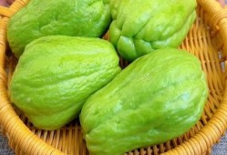 吃佛手瓜会发胖,揭秘吃佛手瓜是否会发胖