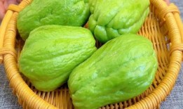 吃佛手瓜会发胖,揭秘吃佛手瓜是否会发胖