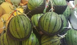 桃红色吃瓜,探寻夏日消暑美食的甜蜜诱惑