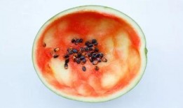 勺子吃瓜技巧是什么,夏日消暑新体验