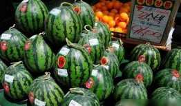 邯郸最新吃瓜卖花,吃瓜卖花，夏日风情浓