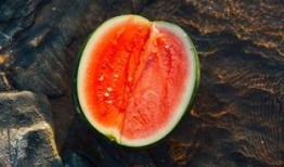 吃瓜紫微,吃瓜群众也能轻松掌握的命理奥秘