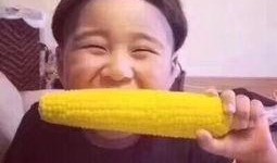 搞笑吃瓜网友素材视频,笑料百出！搞笑吃瓜网友素材视频大盘点