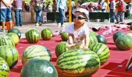 大陆吃瓜台湾看瓜视频网站,大陆吃瓜，台湾看瓜，网络视频网站见证两岸互动新风尚