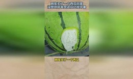 吃瓜回来瓜棚没了,吃瓜群众见证的奇妙事件