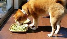 吃瓜的踢到铁板了,揭秘背后惊人真相