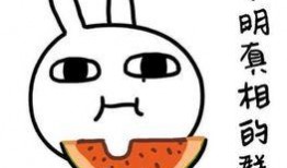 清贫吃瓜,揭秘平民百姓的日常趣味生活