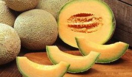 吃哈密瓜自拍说说,我的自拍故事