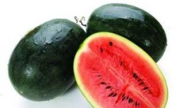 欣悦取图吃瓜,揭秘“吃瓜”背后的趣味与真相