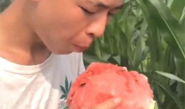 吃瓜群众大头头,揭秘娱乐圈幕后风云