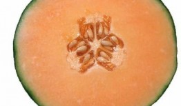 哈密瓜孕初期可以吃吗,营养健康两不误