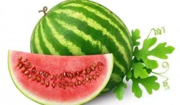 coco小黄吃瓜,一场欢乐的夏日盛宴