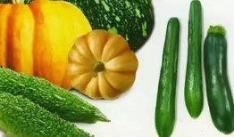 嫁进大院吃瓜,嫁进豪门，吃瓜群众围观那些年