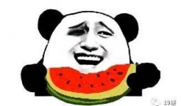 当你和朋友吃瓜,一场别开生面的吃瓜之旅