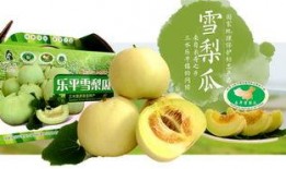 广东付瓜如何吃,解锁夏日清凉新体验