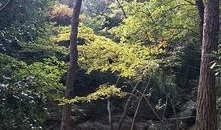 虞山森林吃瓜,探寻夏日消暑的“吃瓜”秘境