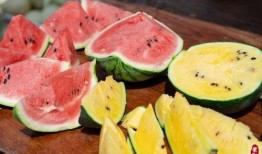 家庭吃瓜,品味生活的甜蜜滋味