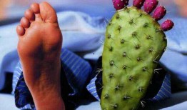 痛风可以吃羊角瓜,天然食疗新选择