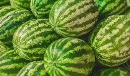 步宗比赛吃瓜,一场视觉与味蕾的双重盛宴