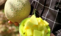 最近欧美圈吃瓜,揭秘明星背后的秘密与争议