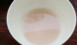 吃瓜炒鱿鱼画饼,揭秘网络流行语的趣味与内涵