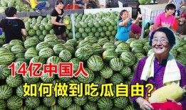 中国吃瓜自由现状,全民娱乐时代的现象解析