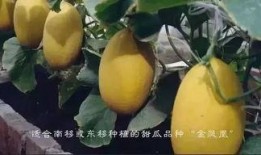 吃瓜交友厅,揭秘娱乐圈背后的真实故事