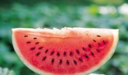 吃瓜资料简介,一场全民娱乐的盛宴