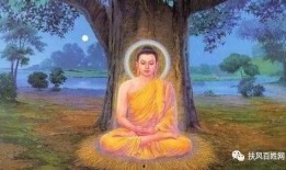 佛陀瓜怎么吃,探索古法新食