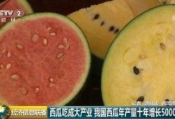 吃瓜群众在情感中,情感世界的旁观者与参与者