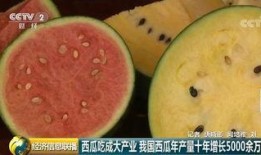 吃瓜群众在情感中,情感世界的旁观者与参与者