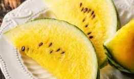 吃瓜apo,网络热词背后的文化现象