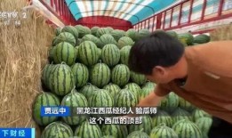 吃瓜玻璃珠,探寻其背后的故事与魅力