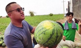 宝石山吃瓜,夏日消暑美食之旅