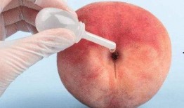 痔疮吃白瓜好吗,白瓜的养生功效解析